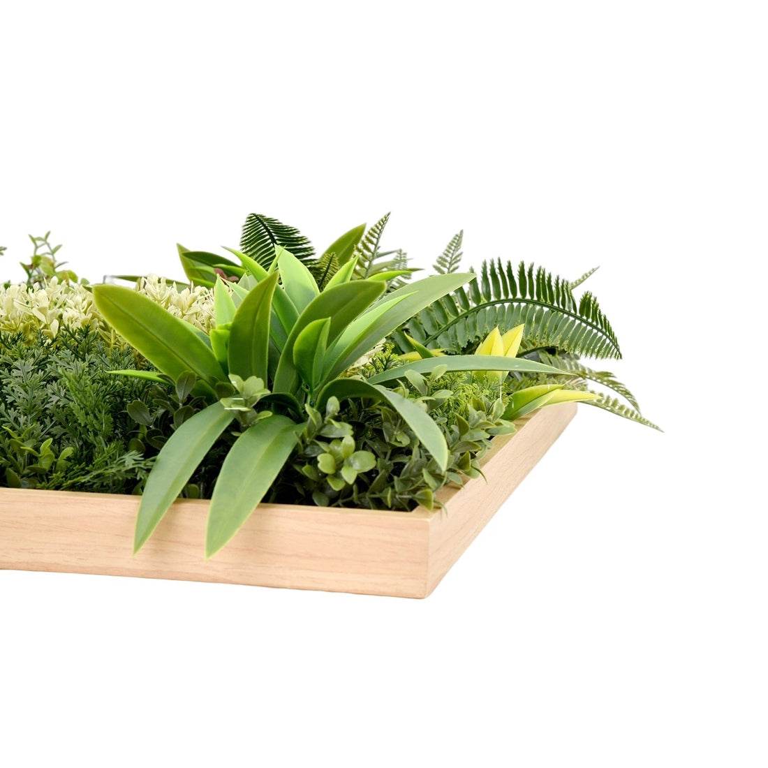 Jardín Vertical Irlanda - playplaza.uy