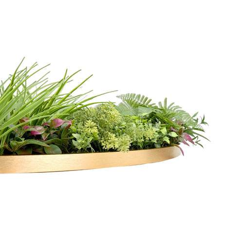 Jardín Vertical Valhalla - playplaza.uy