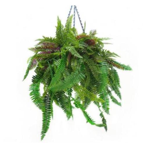 Canasta Artificial Helechos - playplaza.uy