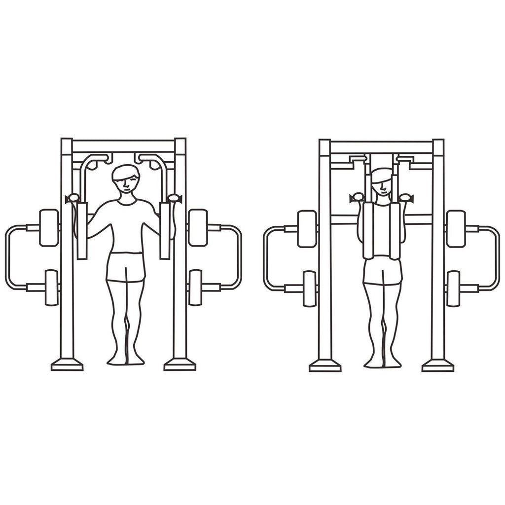 Pectorales y Brazos - playplaza.uy