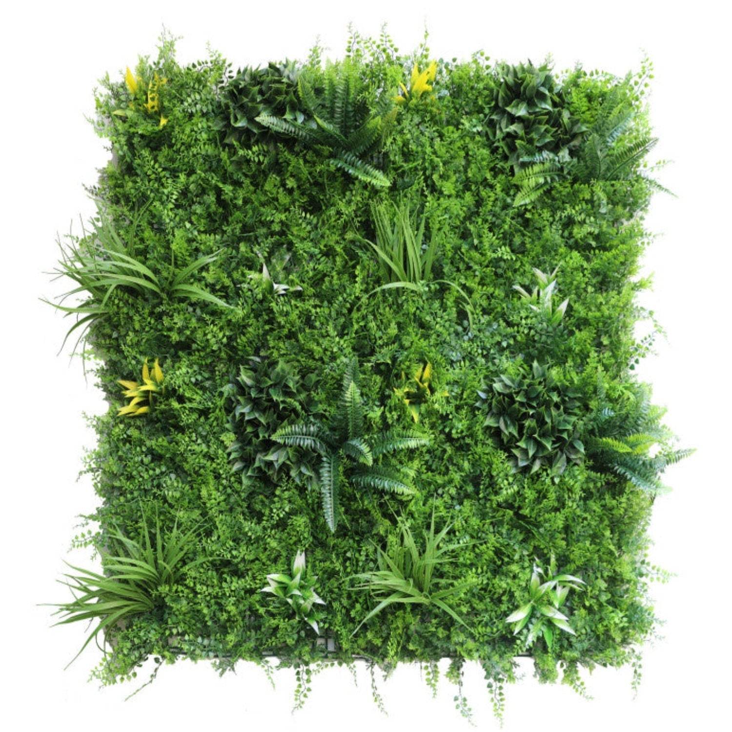 Jardin Vertical Helecho Pro - playplaza.uy