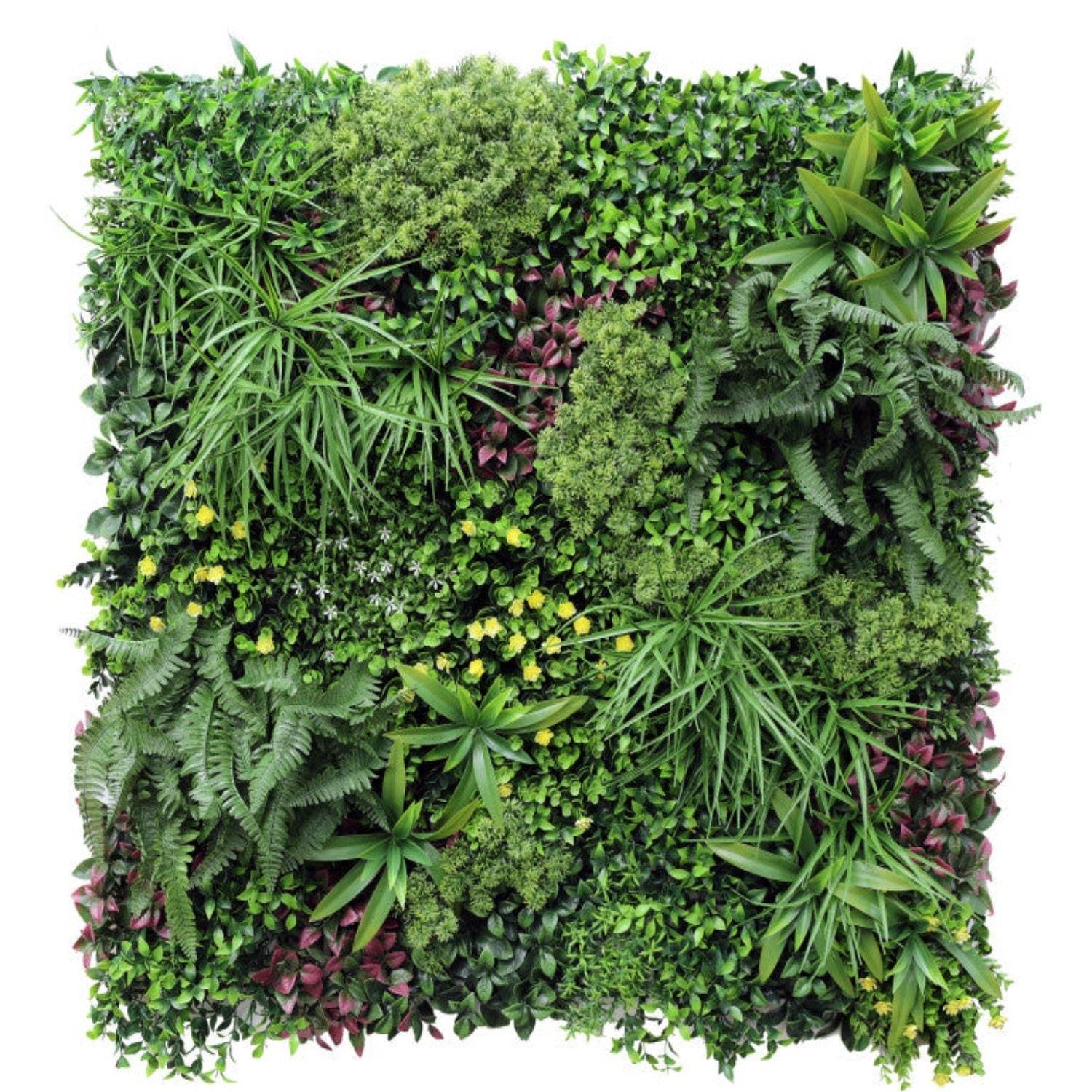 Jardin Vertical Papua - playplaza.uy