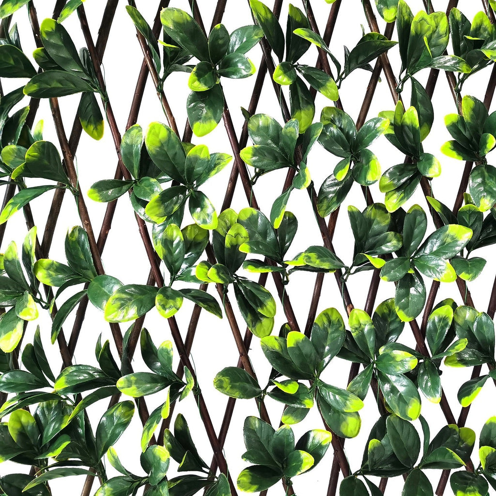 Valla Artificial Pared Willow-Valla Artificial-HBFA05-Jardin Vertical-Play Plaza Uruguay