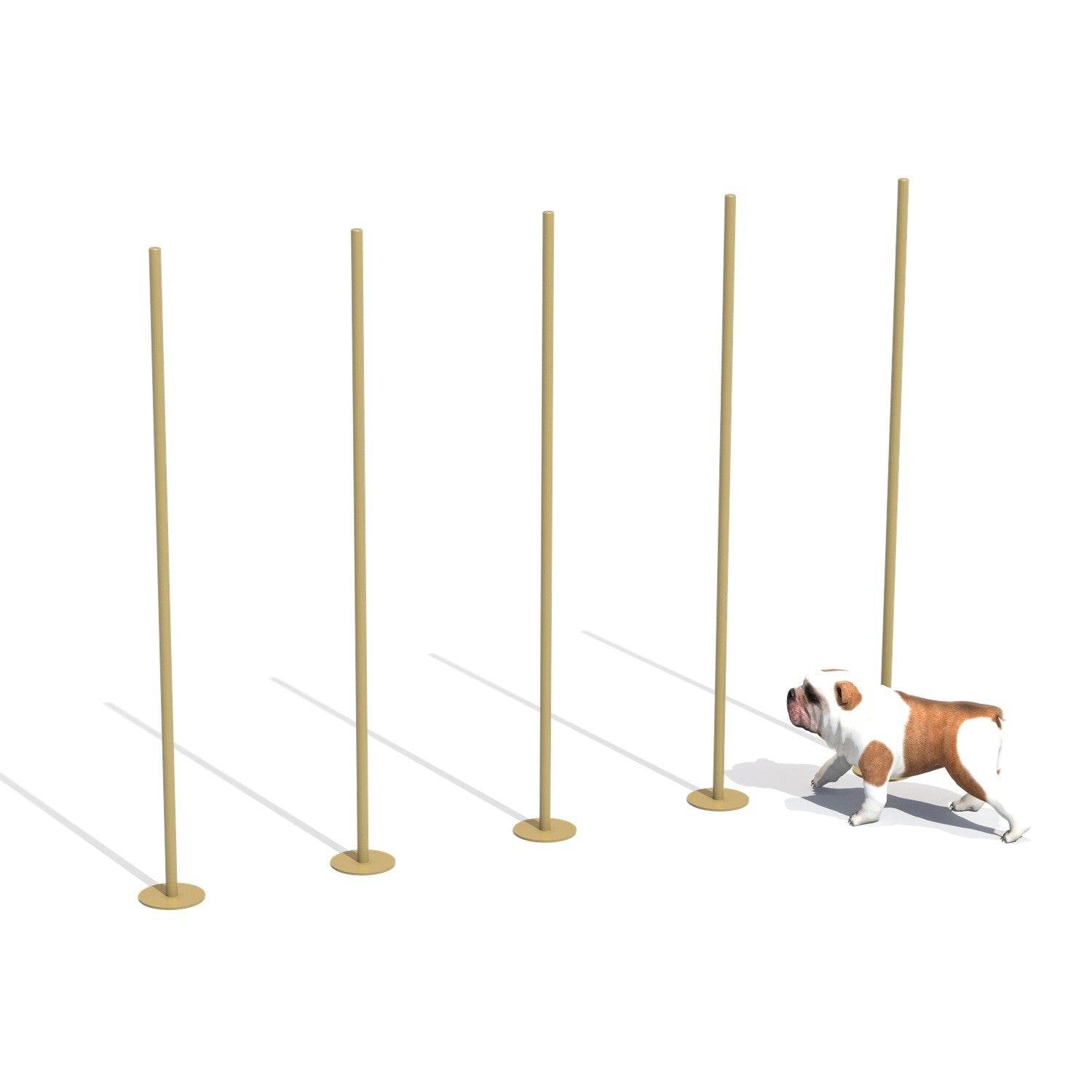 Zig Zag Entrenamiento Canino - playplaza.uy